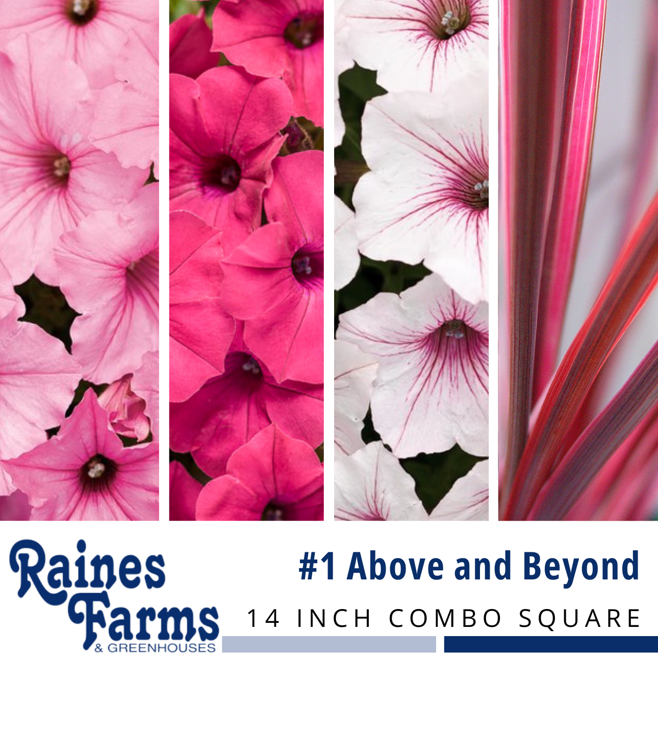 #1: Above and Beyond 14 Inch Combo Square